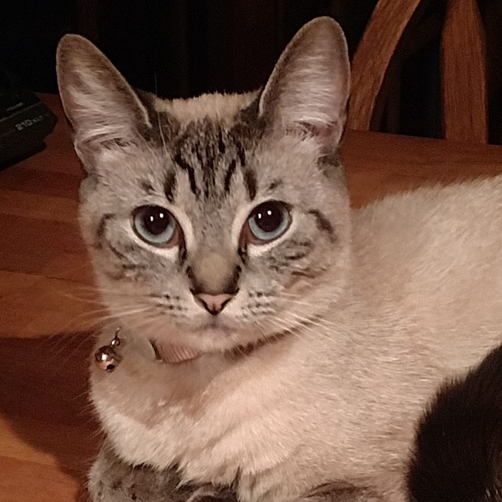 Meet your Posher, Ginger